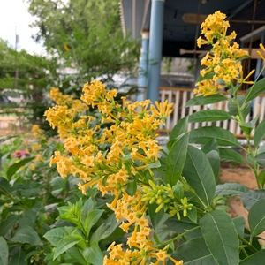 Meet your Posher, Valentina